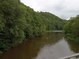 Zschopau (Waldheim)-1