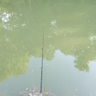 Angelparadies Nachtigallental