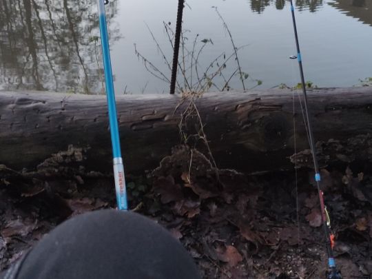 Angelparadies Nachtigallental-2