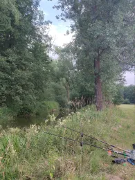 Schwarze Elster (Wittichenau)-4