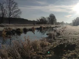 Schwarze Elster (Wittichenau)-1