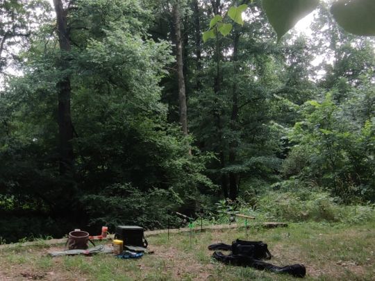 Schwarze Elster (Wittichenau)-3