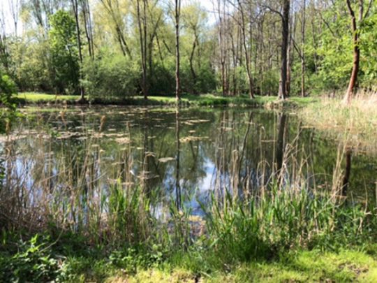 Schlossteich Aderstedt-1