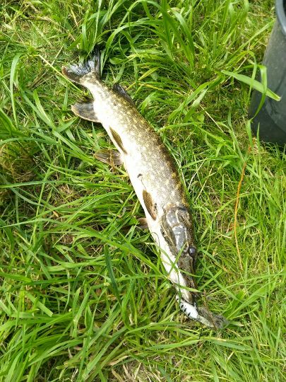 Schlossteich Aderstedt-4