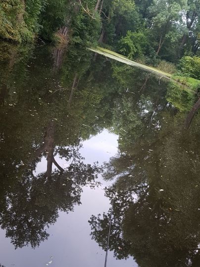 Schlossteich Aderstedt-3