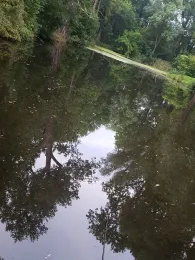 Schlossteich Aderstedt-3