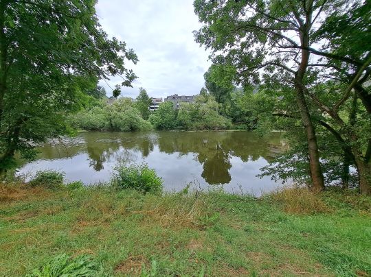 Nahe (Bad Münster a.Stein-Ebernburg)-1