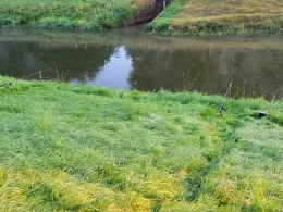 Große Hase (Löningen)-1