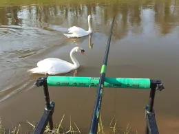 Große Hase (Löningen)-2