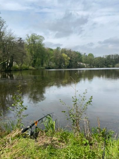 Hofteich (Bodendorf)-3