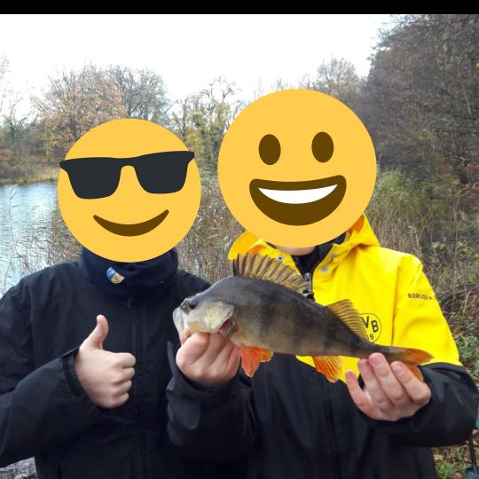 Hofteich (Bodendorf)