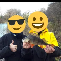 Hofteich (Bodendorf)