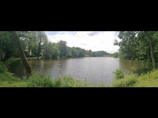 Hofteich (Bodendorf)-1