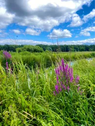 Dosse (Wittstock/Dosse)