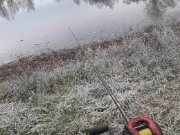 Freinhausener Weiher