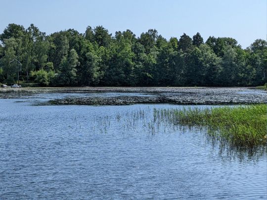 Möckeln (Älmhult)-2