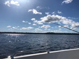 Möckeln (Älmhult)-1