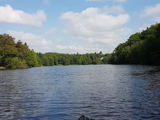 Schmalsee (Mölln)-1