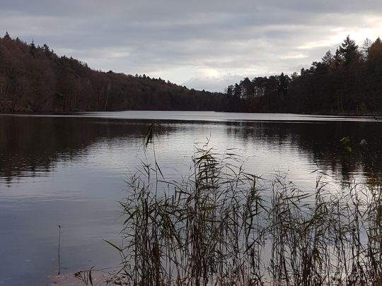 Schmalsee (Mölln)-2