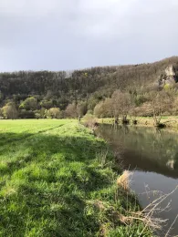 Wiesent (Muggendorf)