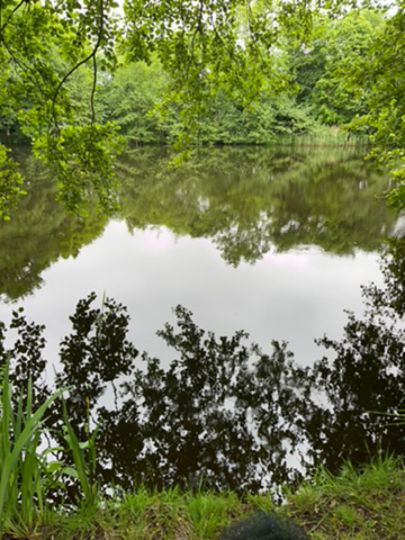 Kleine Wehle (Niebüll)-1