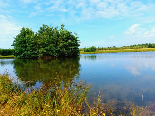 Fjand Fiskepark