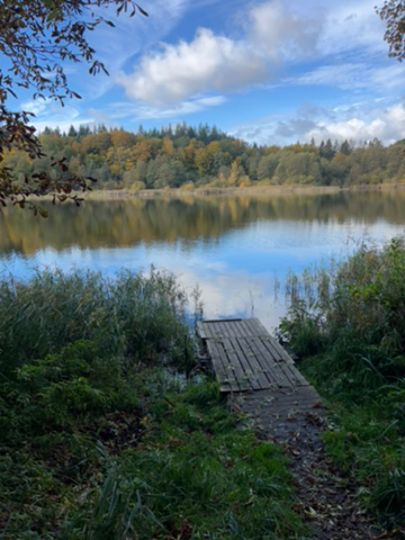 Rehmsee (Brüsewitz)-1