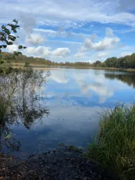 Rehmsee (Brüsewitz)