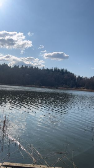 Rehmsee (Brüsewitz)-4