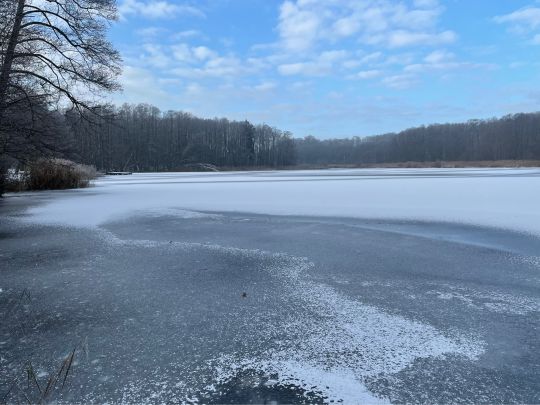 Küchenteich (Boitzenburg)