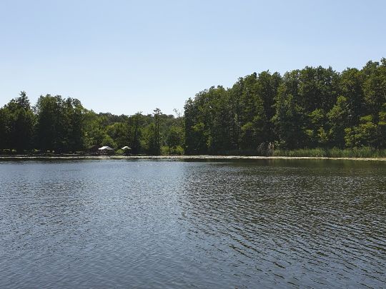 Küchenteich (Boitzenburg)-4