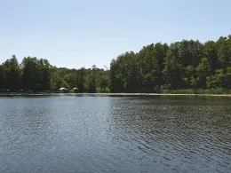 Küchenteich (Boitzenburg)-4