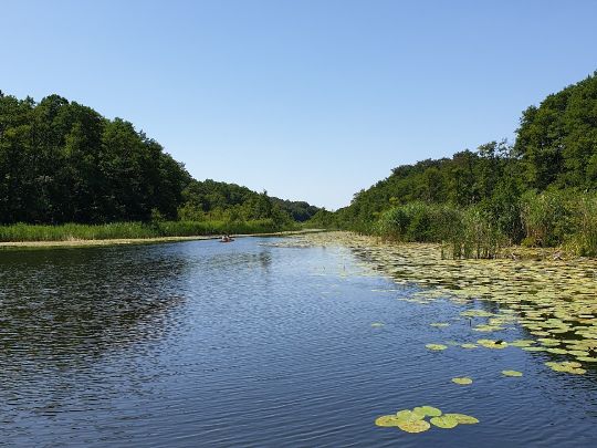 Küchenteich (Boitzenburg)-2
