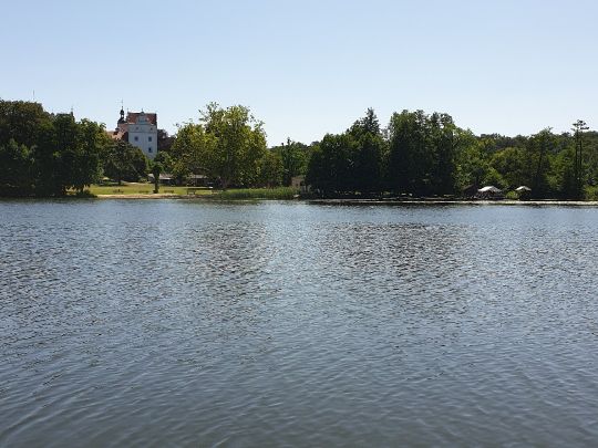 Küchenteich (Boitzenburg)-3