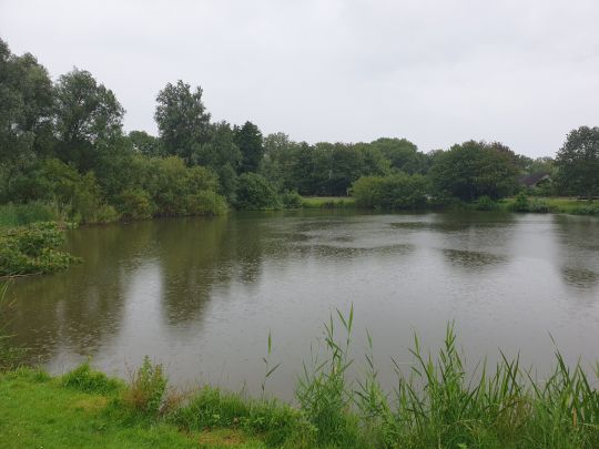 Schwarzer Wehl
