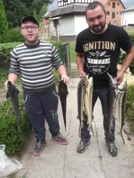 Angelteiche Pritzwalk -1