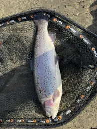 Angelteiche Pritzwalk -2