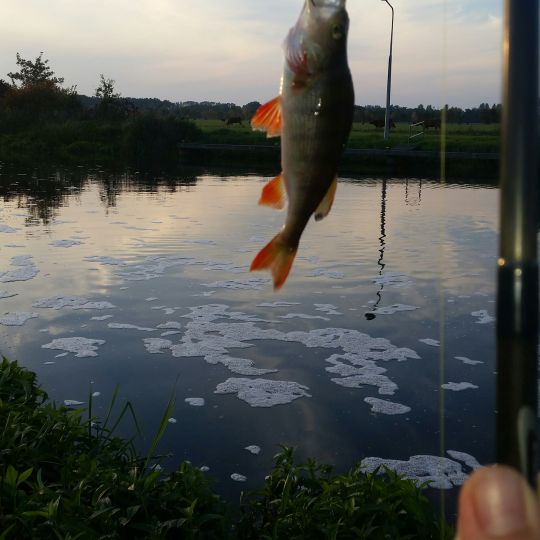 Eldekanal in der Lewitz-4