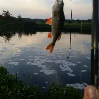 Eldekanal in der Lewitz-4