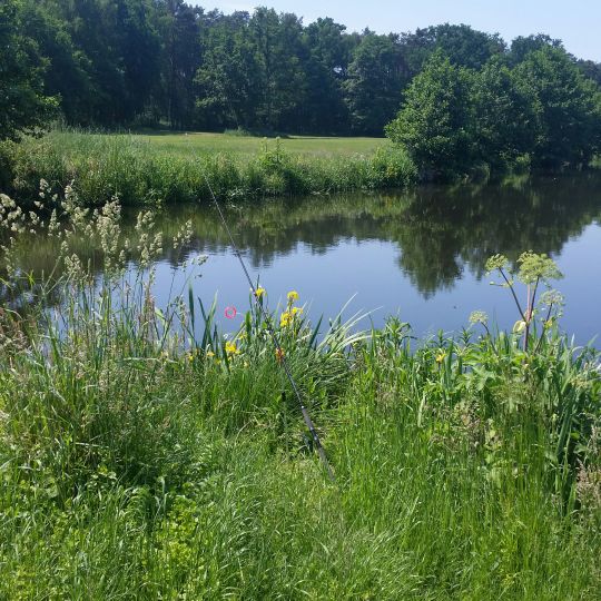 Eldekanal in der Lewitz-3