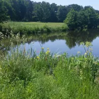 Eldekanal in der Lewitz-3