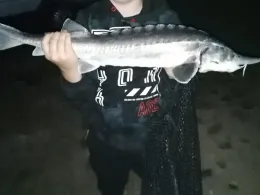 Mühlfeldsee Büchelkühn Süd-0