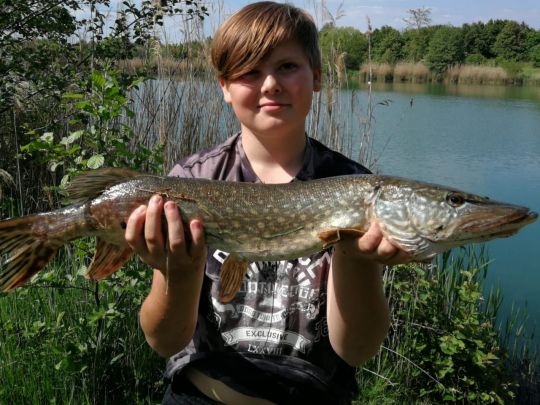 Mühlfeldsee Büchelkühn Süd-2