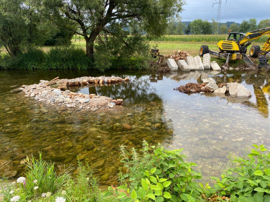 Wiese (Schopfheim)-4