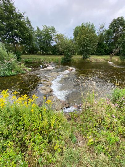 Wiese (Schopfheim)-1