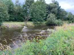 Wiese (Schopfheim)-3