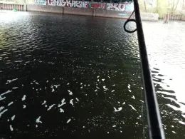 Spandauer Südhafen-1