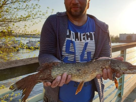 Spandauer Südhafen-4