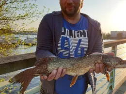 Spandauer Südhafen-4