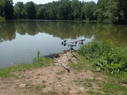 Weiher ASV Wellesweiler-1